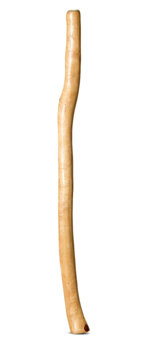Medium Size Natural Finish Didgeridoo (TW1702)